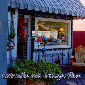 Cattails & Dragonflies