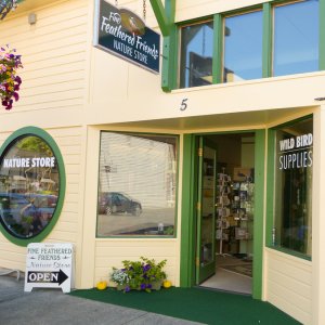 Fine Feathered Friends